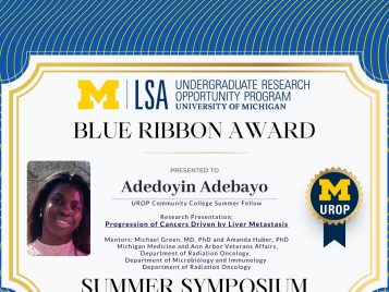 2021 Summer Blue Ribbon IG 